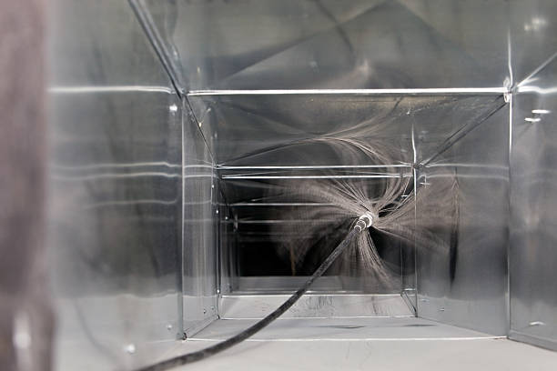 Best Air Duct Mold Removal  in Dravosburg, PA